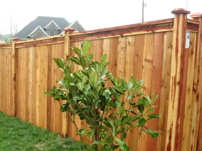 Cedar Confidentiality — Fence Installation project by Putnam County Fencing