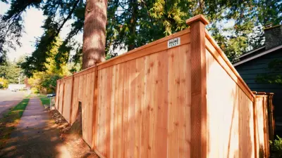 Bespoke Cedar Enclosure for Tree — Fence Installation project by Cool Cat Fence