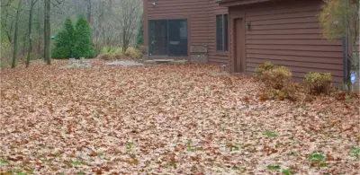 Elite Property and Fence, LLC - Carpentry & Woodworking in Southbury, CT