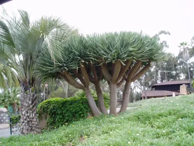 The Design Build Company - Outdoor Lighting Installation in Encinitas, CA