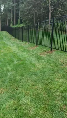 White Eagle Fence - Tree & Shrub Care in New Haven, CT