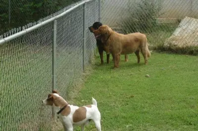 Need-A-Fence Inc. - Fence Installation in Smyrna, GA
