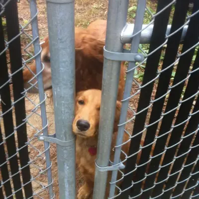 Need-A-Fence Inc. - Fence Installation in Smyrna, GA