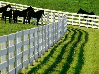 Premier Fence Texas - Fence Installation in Anna, TX