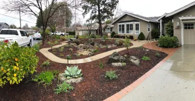 Featured Projects — Landscape Design project by Bay Maples Wild California Gardens