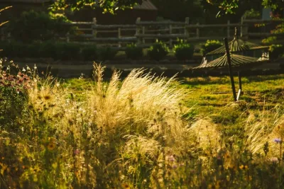 Sherwood Farmstead — Landscape Design project by The Figure Ground Studio, LLC