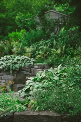 The Figure Ground Studio, LLC - Landscape Design in Cold Spring, NY
