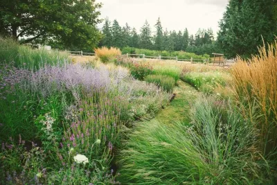 The Figure Ground Studio, LLC - Landscape Design in Cold Spring, NY