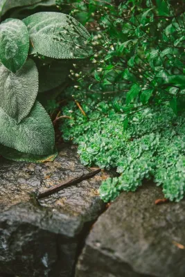 The Figure Ground Studio, LLC - Landscape Design in Cold Spring, NY