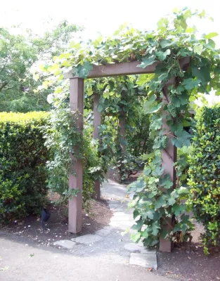 The Garden Angels Landscape Design & Consulting - Garden Remodeling in Salem, OR
