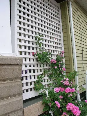 Elyria Fence Inc. - Patio Design & Installation in Elyria, OH