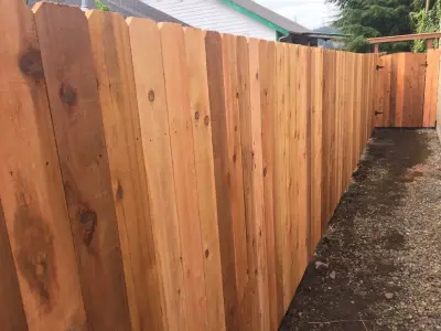 Timber Fencing — Fence Installation project by Western Pacific Fence