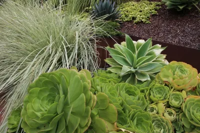 The Garden Route Company - Garden Remodeling in San Francisco, CA