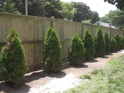 Signature Fence Incorporated - Deck Building & Repair in Frederick, MD