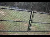 P&B Fencing - Carpentry & Woodworking in Taylorsville, MS