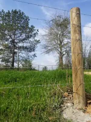 P&B Fencing - Carpentry & Woodworking in Taylorsville, MS