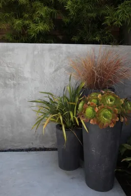 City Oasis — Landscape Design project by The Garden Route Company in San Francisco