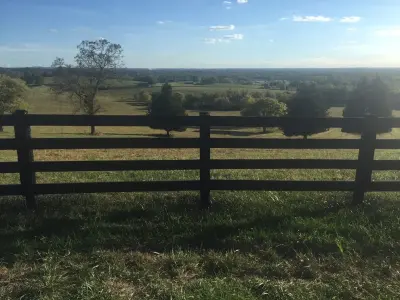 Stain & Seal Experts - Fence Installation in Mount Juliet, TN
