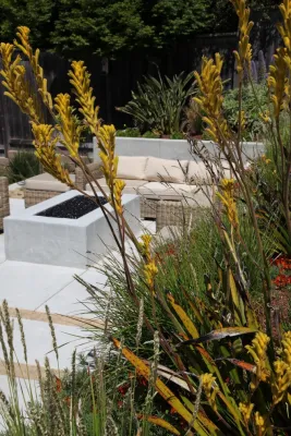 Mill Valley Modern — Landscape Design project by The Garden Route Company in Mill Valley