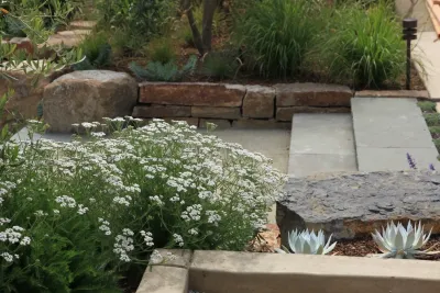 Hillsborough Entry Garden — Landscape Design project by The Garden Route Company
