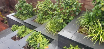 Golden Gate Heights Zen Space — Landscape Design project by The Garden Route Company