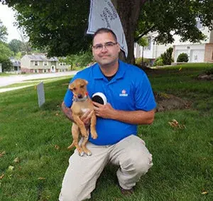 Dog Guard of Greater Pittsburgh - Fence Installation in Export, PA