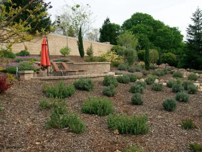 The Garden Tutors - Garden Remodeling in Sacramento, CA