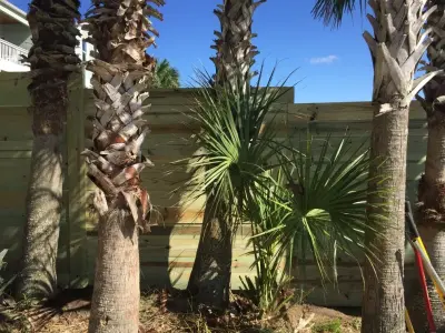 Timber Barrier — Fence Installation project by Brock Fence