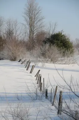 Compass Fencing Co - Fence Installation in Suttons Bay, MI