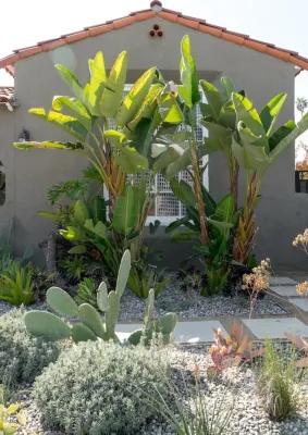 Becky Bourdeau Designs Inc - Landscape Design in Los Angeles, CA