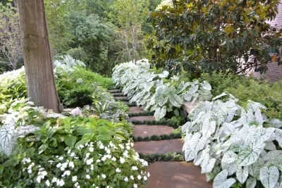 Brumley Gardens - Landscape Construction in Dallas, TX