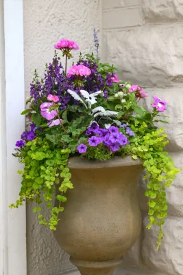 The Inspired Garden - Garden Remodeling in Maplewood, NJ