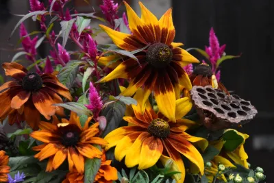 The Inspired Garden - Garden Remodeling in Maplewood, NJ