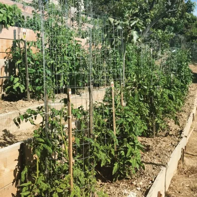 Vegetable and Herb Garden Design — Landscape Design project by The JCRD Group