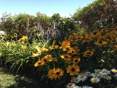 The JCRD Group - Landscape Design in Los Angeles, CA