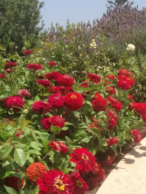 The JCRD Group - Landscape Design in Los Angeles, CA