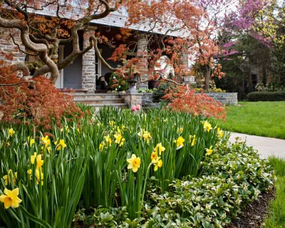 Beechwood Landscape Architecture and Construction - Outdoor Lighting Installation in Southampton, NY