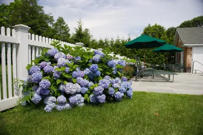 Traditional In-ground Pool — Landscape Design project by The León Group, LLC in Quogue