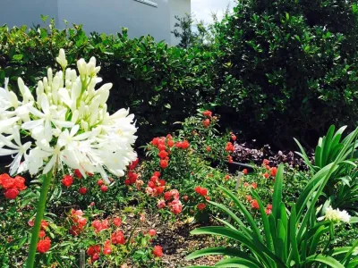 Suntree Landscape Remodel by The Master's Touch Landscape And Design