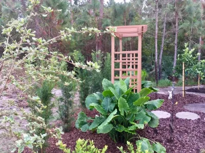 The Master's Touch Landscape and Design - Landscape Maintenance in Brevard, NC