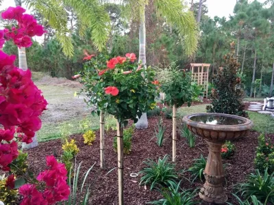 The Master's Touch Landscape and Design - Landscape Maintenance in Brevard, NC