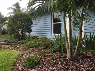The Master's Touch Landscape and Design - Landscape Maintenance in Brevard, NC