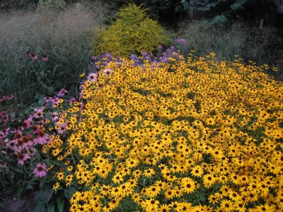 Living Landscapes — Landscape Design project by The Natural Garden