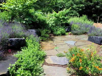 The Natural Garden - Garden Remodeling in Harrisonburg, VA