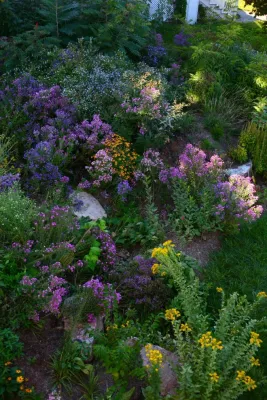 The Natural Garden - Garden Remodeling in Harrisonburg, VA