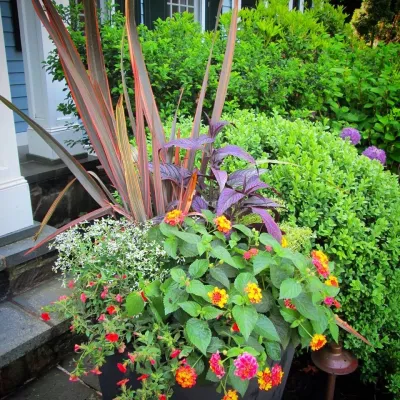 The Northern Garden - Garden Remodeling in Stratford, CT