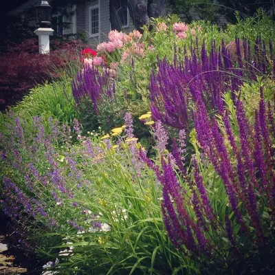 The Northern Garden - Garden Remodeling in Stratford, CT