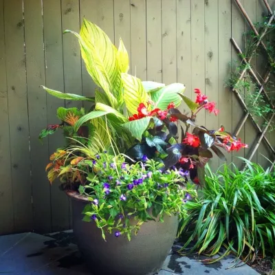 The Northern Garden - Garden Remodeling in Stratford, CT