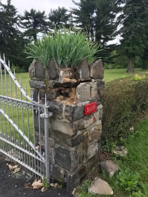 The Outdoor Advantage, LLC. - Garden Remodeling in Hunt Valley, MD