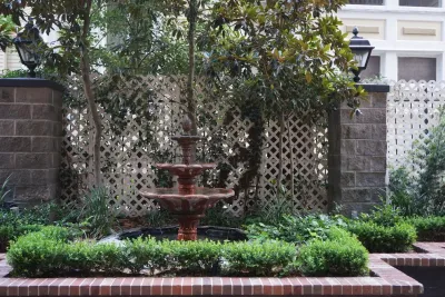 Courtyards + Rooftops — Landscape Design project by The Plant Gallery